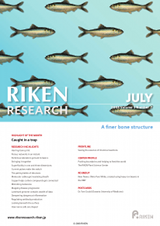 RIKEN Research Volume 3 Issue 7