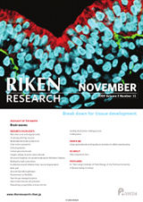 RIKEN Research Volume 3 Issue 11