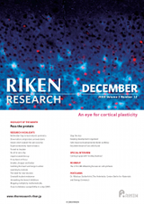 RIKEN Research Volume 3 Issue 12