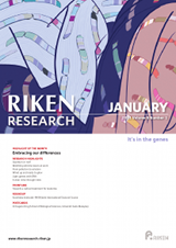 RIKEN Research Volume 6 Issue 1