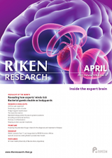 RIKEN Research Volume 6 Issue 4
