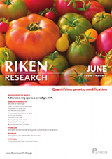RIKEN Research Volume 6 Issue 6