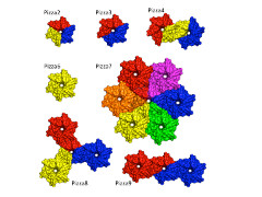 Images of proteins in the beta-propeller family