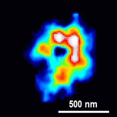 Image of the electron density map