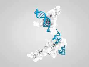 Image of DNA