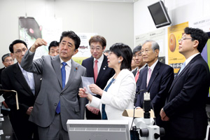 Image of Prime Minister Shinzo Abe