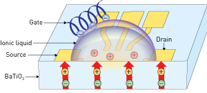 Image showing the system of an electric double-layer transistor Image showing the system of an electric double-layer transistor
