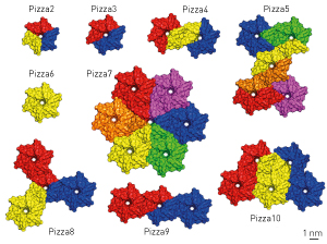 Image of protein pizza