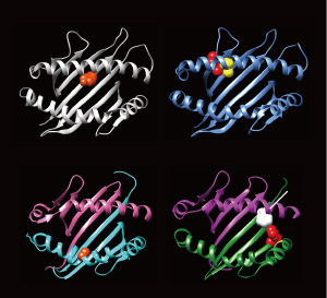 Image of three-dimensional structures of proteins