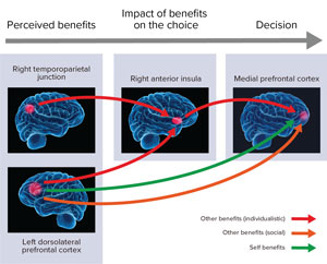 Schematic showing the neural process of decision making