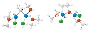 Image of the gem-dizinc and carbon–carbon bonds