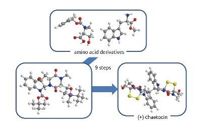 Image of synthesizing chaetocin