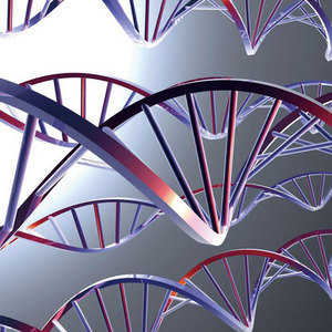 Image of DNA double strands