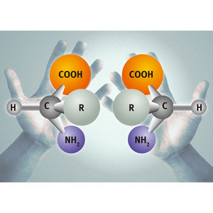 Image of amino acids in mirror-image forms
