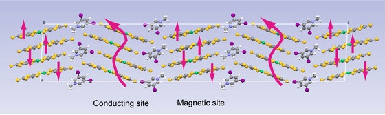 Image of conducting and magnetic sites in nickel complex