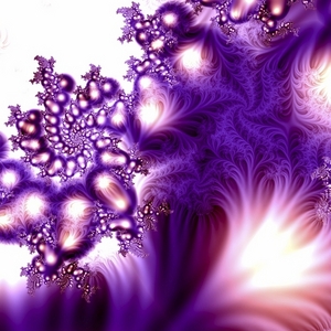 Image of fractals