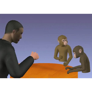 Image of dominant and submissive monkeys