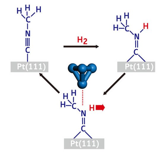 Schematic showing the reversible reaction cycle performed on a platinum surface