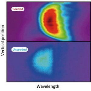 Image of seeded and unseeded FEL emission