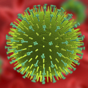 Image of a virus particle