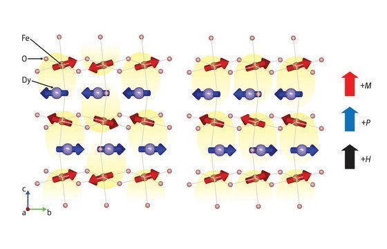 Image of multiferroic coupling in DyFeO3