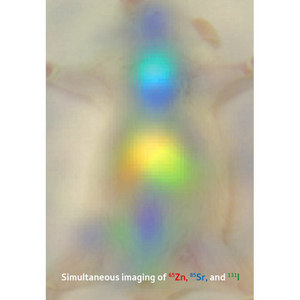 Image of zinc, strontium and iodine in a live mouse