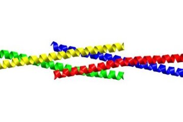 Image of four Homer protein tetramer