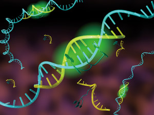 image of DNA
