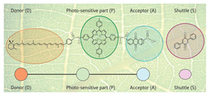 Scheme showing how to emulate photosynthesis