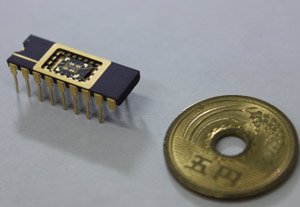 Image of a chip and 5 yen coin