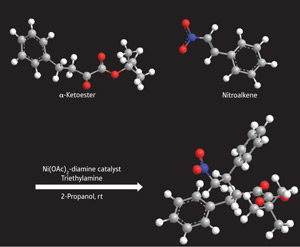 Image of α-ketoesters and nitroalkene