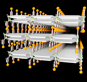 Image of polymer network