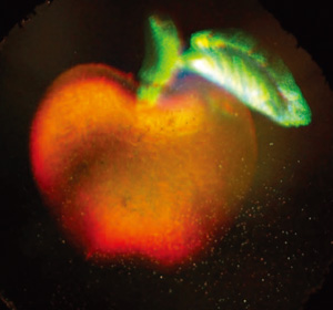Image of a holographic apple 