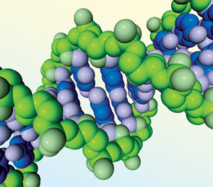 Image of DNA strands