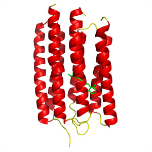 Image showing the crystal structure of ARII