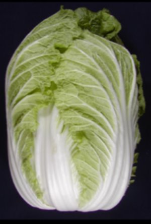 Image of a Chinese cabbage