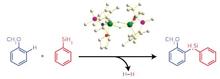 Schematic showing the reaction of scandium catalyst