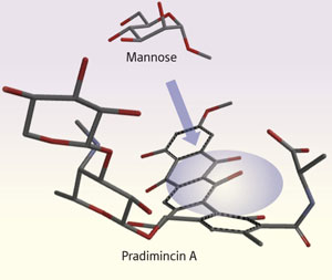 Image of pradimicin A Image of pradimicin A