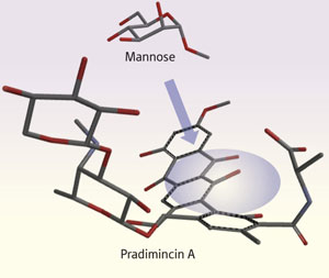 Image of pradimicin A