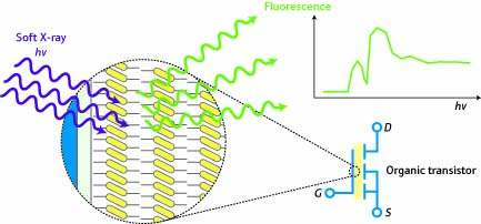 Schematic of fluorescence yield x-ray absorption spectroscopy