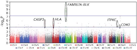 Image of SNPs analyses