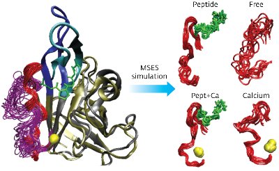 Image showing the structure of sortase