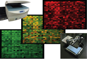 Image of infrared image scanner Image of infrared image scanner