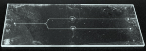 Image of an all-glass lab-on-a-chip