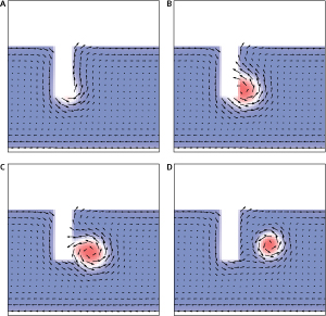 Image showing the formation of a skyrmion