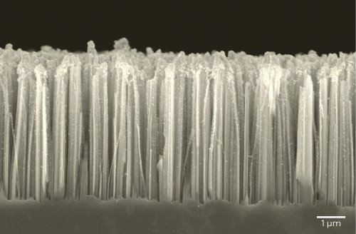 Image of the nanowire–nanoparticle catalyst