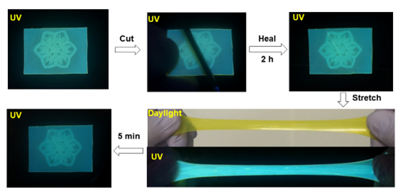 image of fluorescence and self-healing property of the flower-printed film