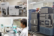 Images of machines used for hormone and metabolome analyses