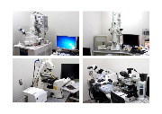 Image of microscopes