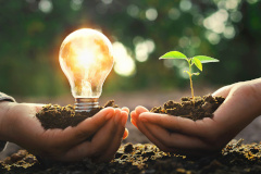 Image showing lightbulb and plant